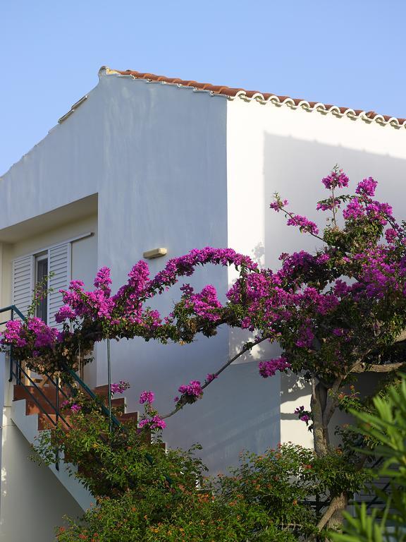 Mousses Apartments & Studios Kíssamos Quarto foto